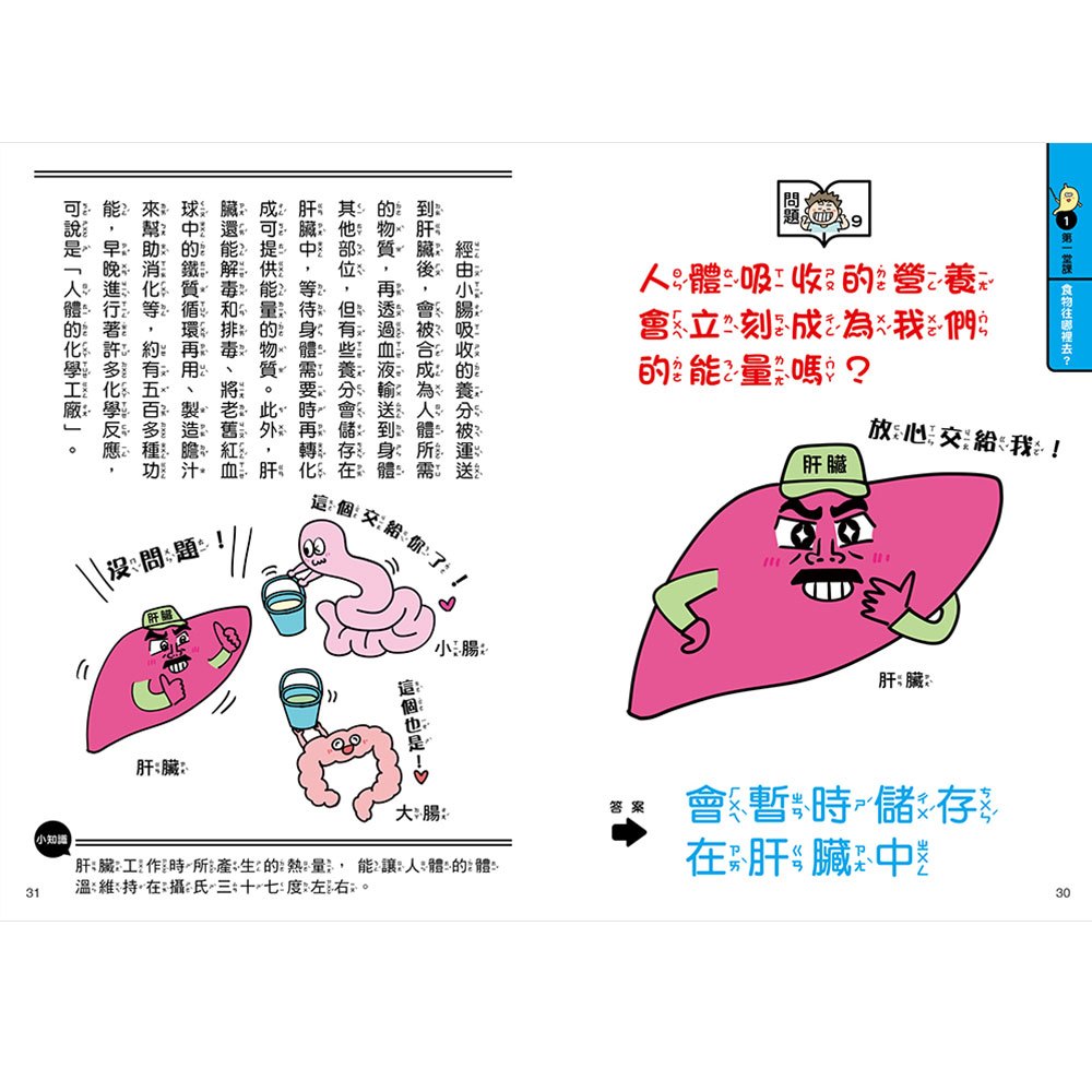 人體先生圖鑑【器官小老師帶你認識身體奧祕】