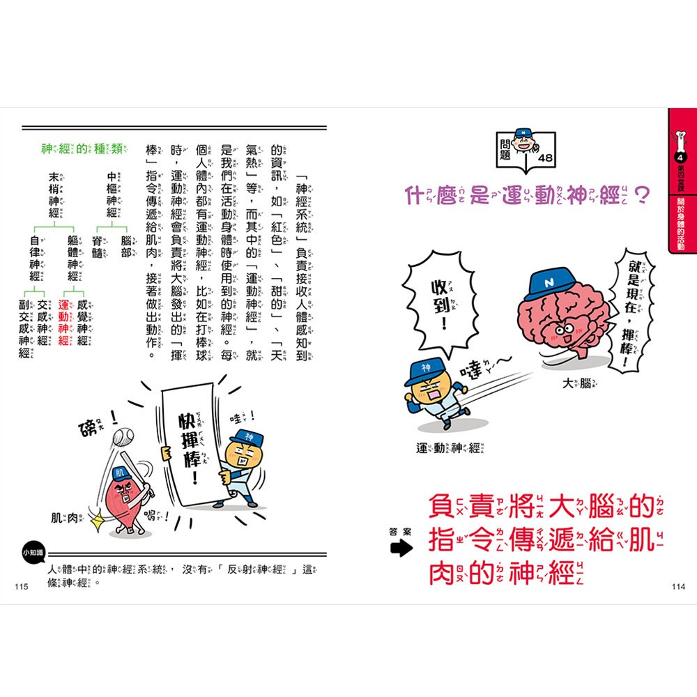 人體先生圖鑑【器官小老師帶你認識身體奧祕】