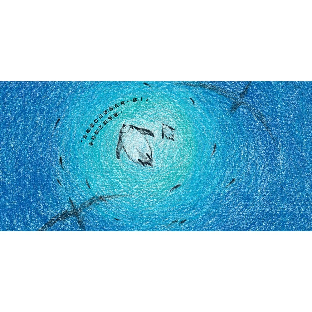 我會飛【自我認同】