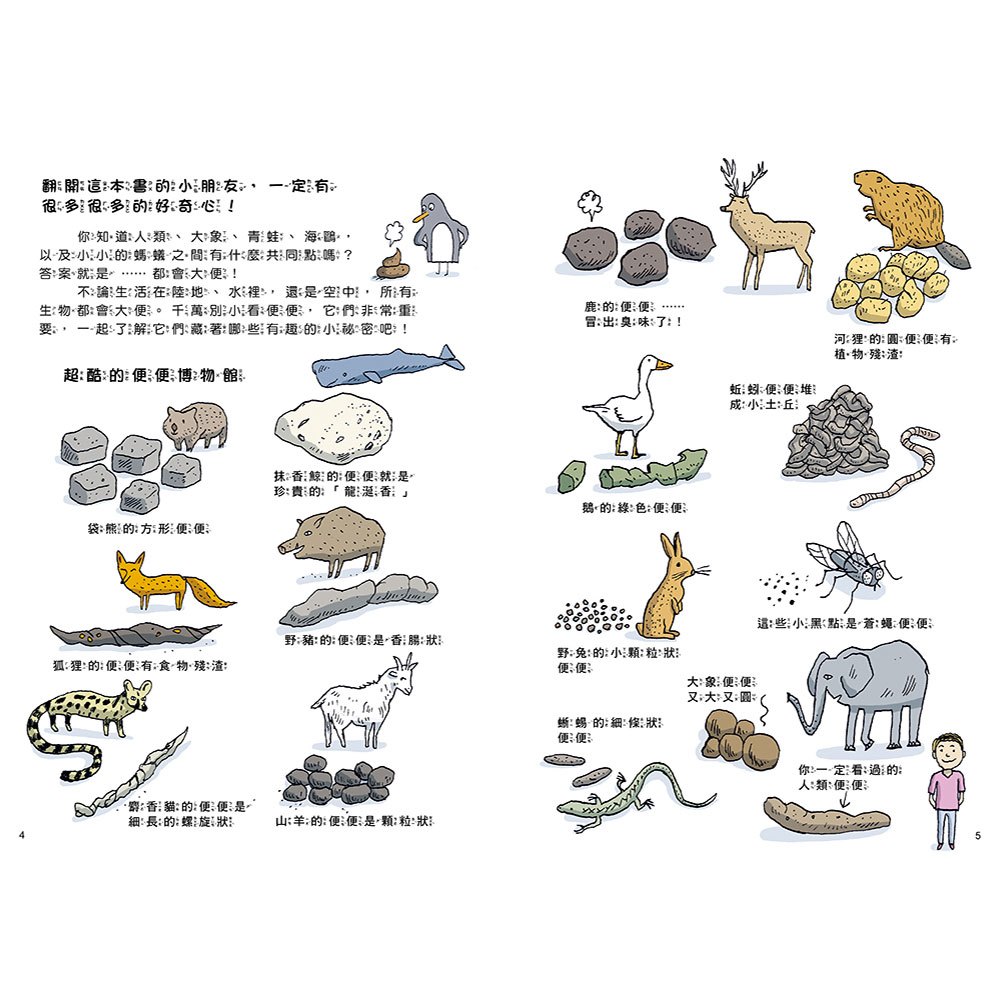 如何拉出完美便便【從人類到動物，一起認識重要又有趣的便便知識！】
