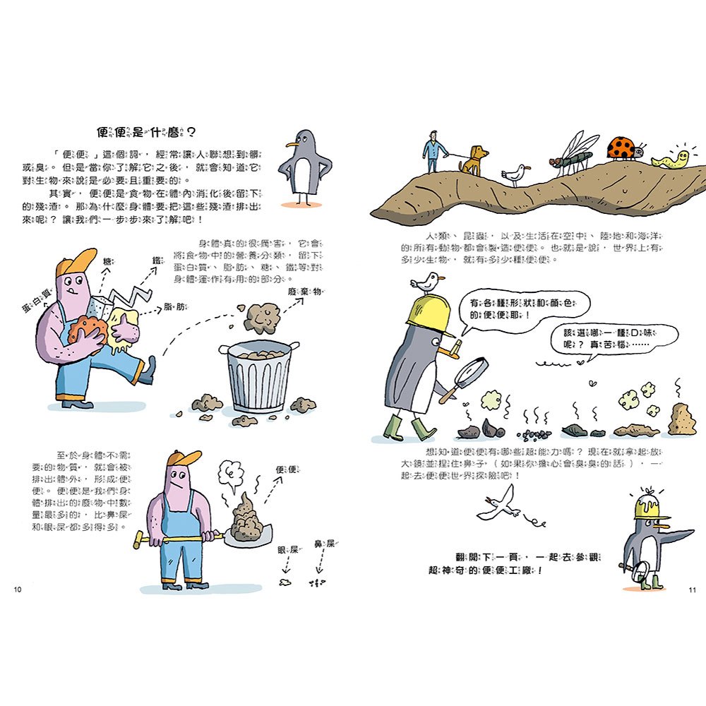 如何拉出完美便便【從人類到動物，一起認識重要又有趣的便便知識！】
