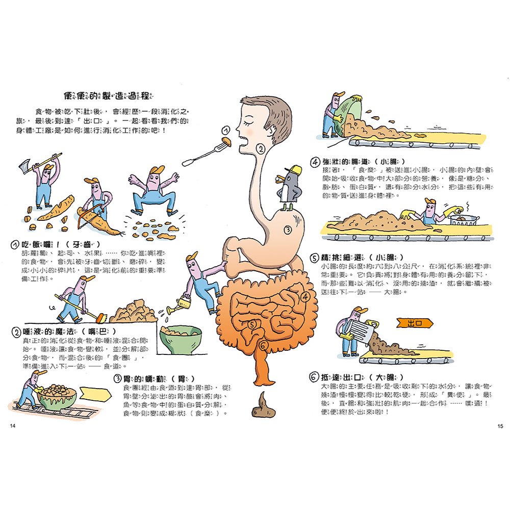 如何拉出完美便便【從人類到動物，一起認識重要又有趣的便便知識！】