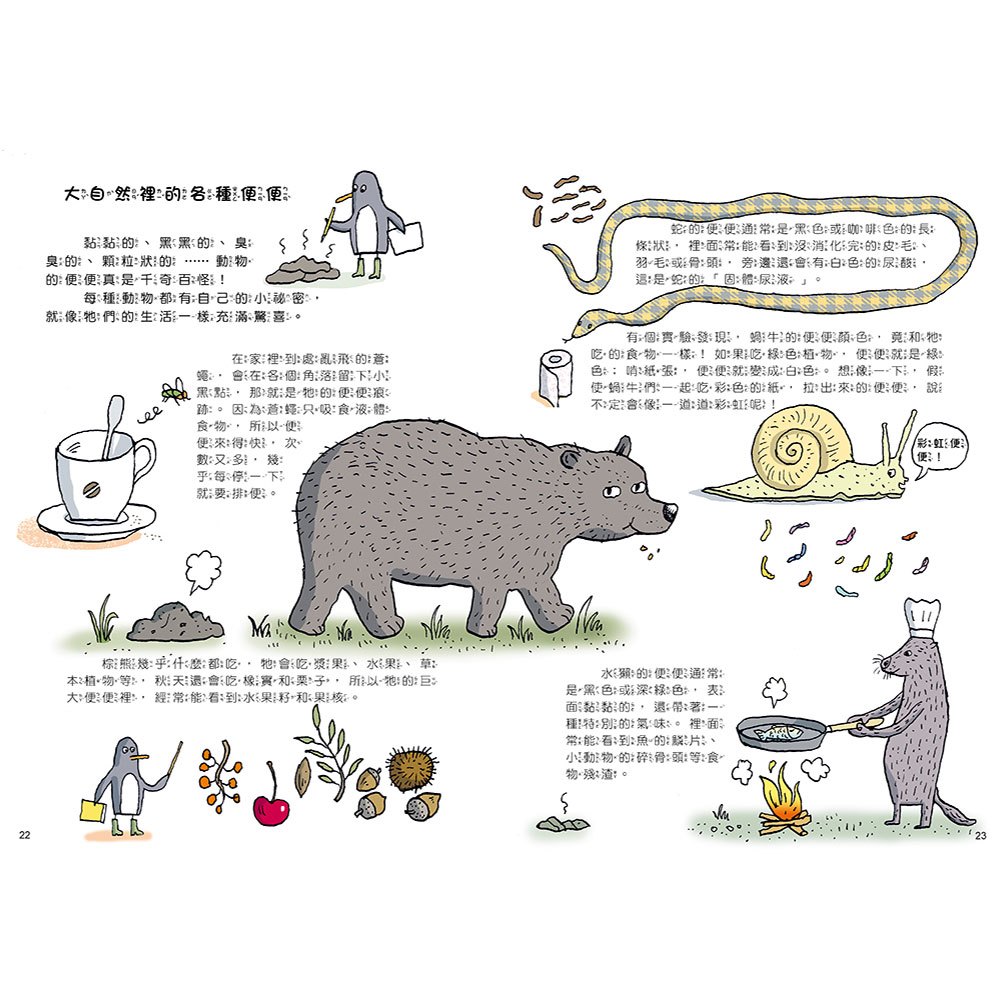 如何拉出完美便便【從人類到動物，一起認識重要又有趣的便便知識！】