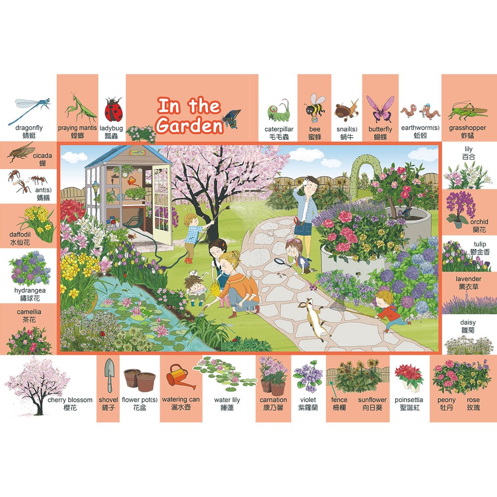 Peek A Boo 主題式英文單字畫冊