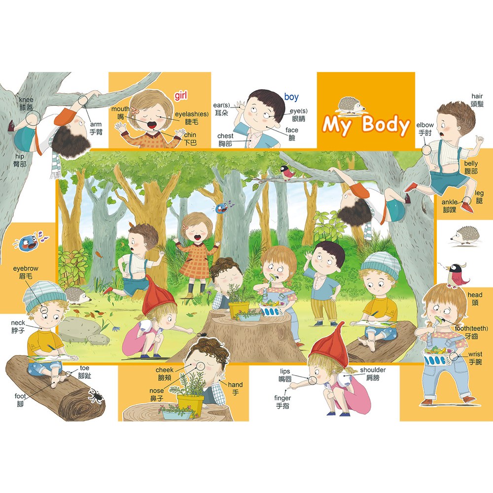 Peek A Boo 主題式英文單字畫冊