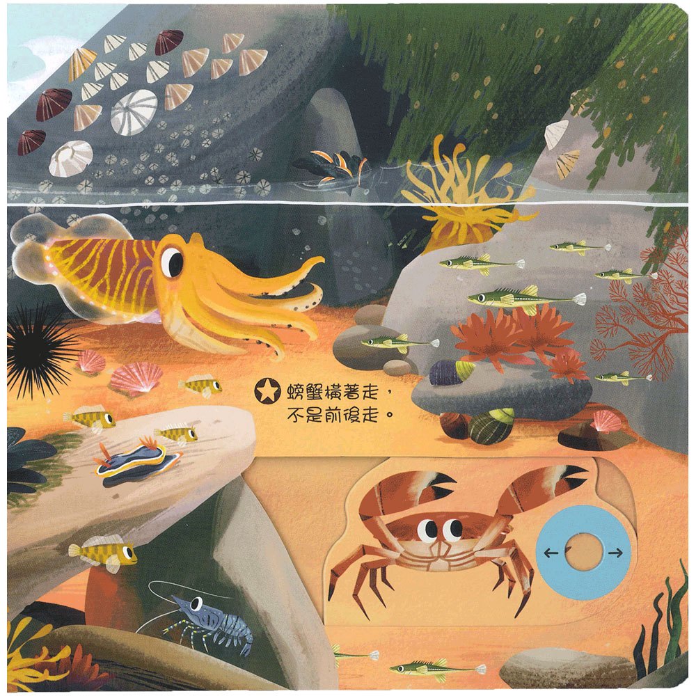 好棒的水生動物(好棒推拉轉玩具書)