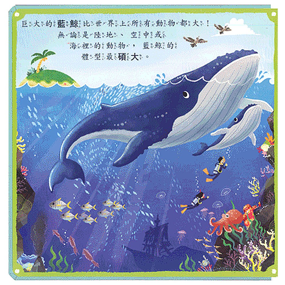 奇妙的動物(玩中學系列)