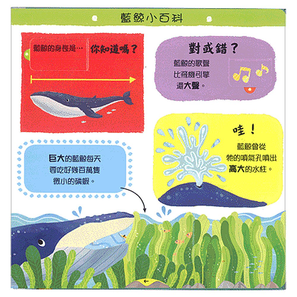 奇妙的動物(玩中學系列)