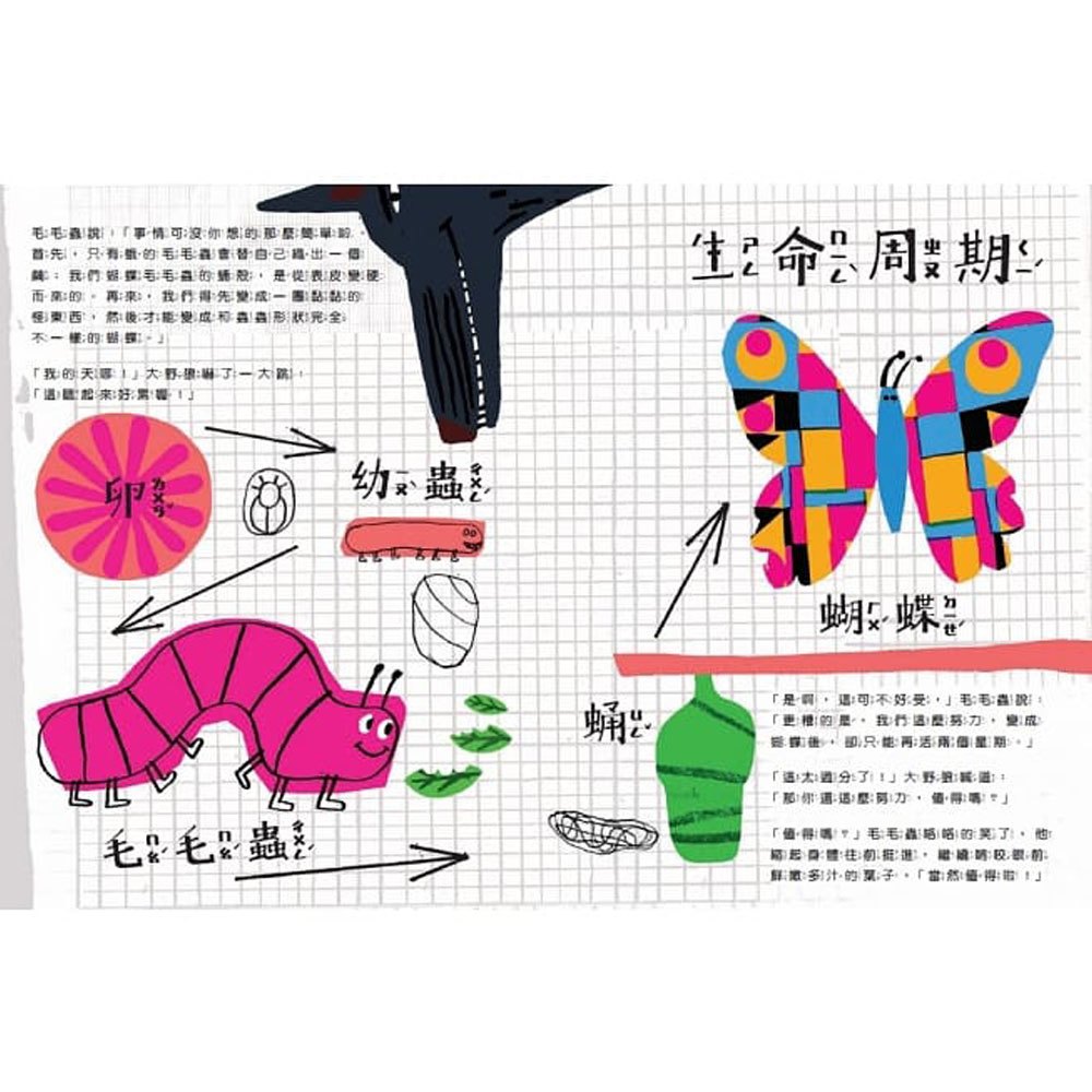 誰說野狼就要壞