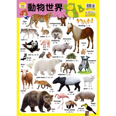 妙妙雞認知小掛圖【動物世界】