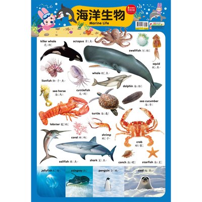 忍者兔學習掛圖【海洋生物】