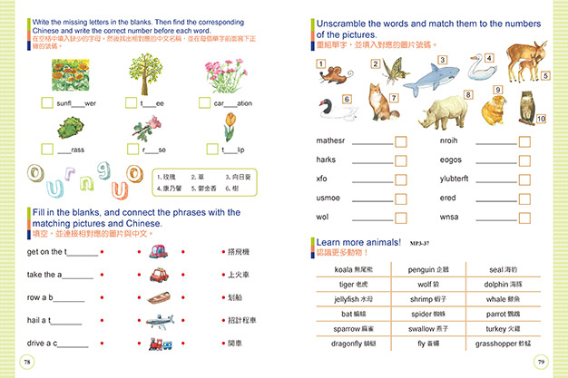 兒童英語單字圖畫書