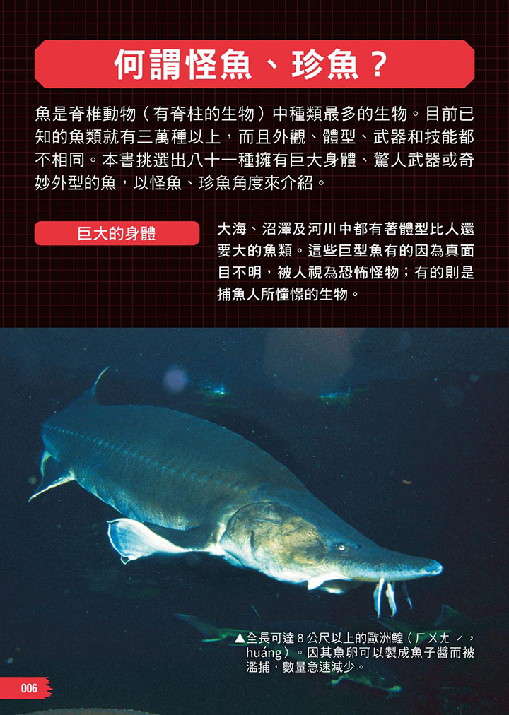 怪魚珍魚大百科- 168幼福童書網